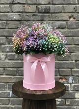 Цветочная композиция из Гипсофила и Розы в шляпной коробке #REPLACE_PRED# Путевке