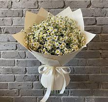 Букет цветов из:  Ромашки в Путевке