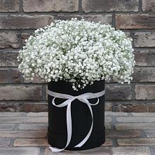 Цветочная композиция из Гипсофила в шляпной коробке в Путевке