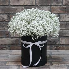 Цветочная композиция из Гипсофила в шляпной коробке в Путевке